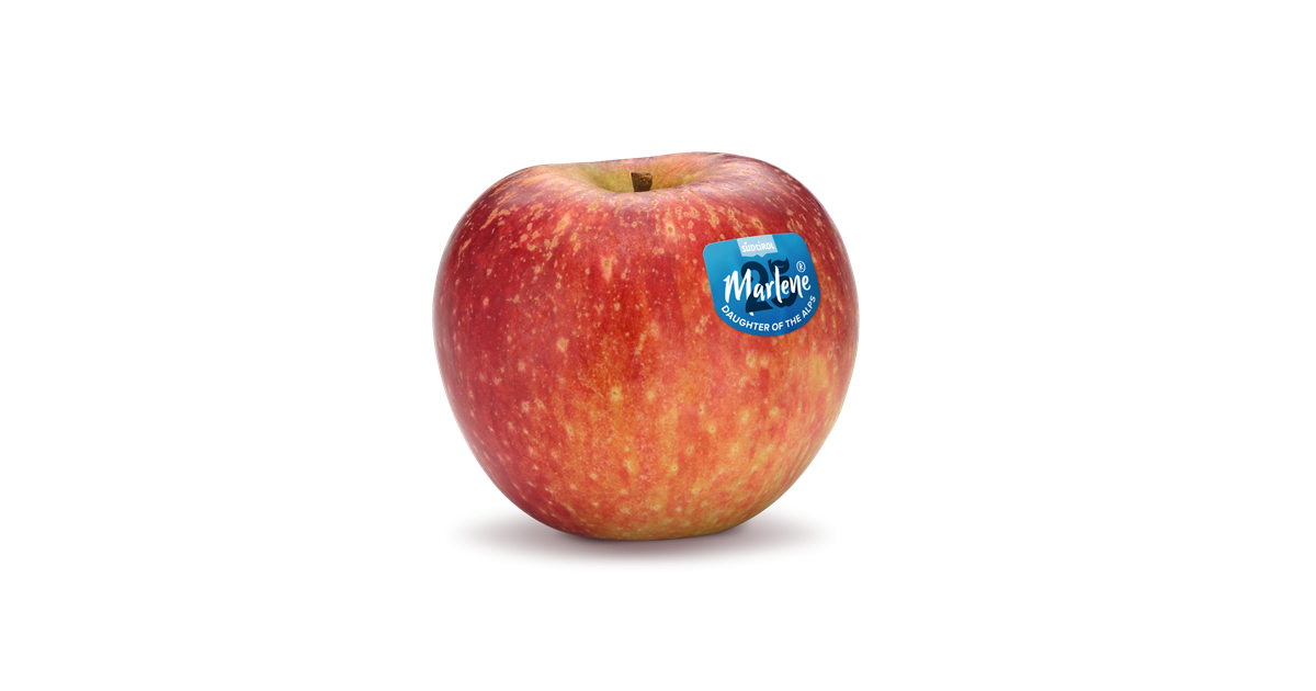 Apple variety Stayman Winesap Marlene®